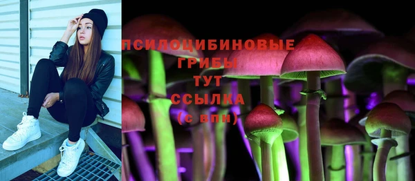 дмт Алексеевка