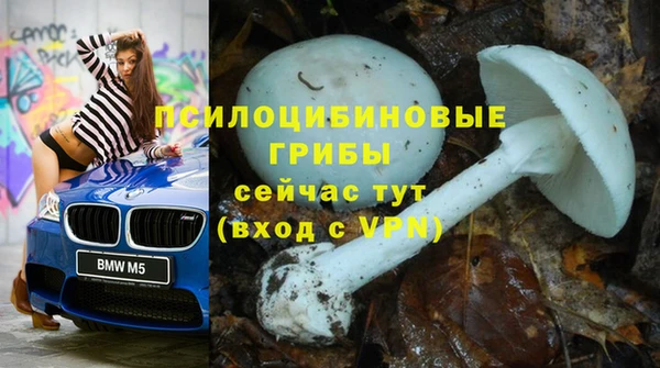 ПСИЛОЦИБИНОВЫЕ ГРИБЫ Алексин