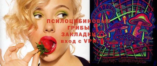 ПСИЛОЦИБИНОВЫЕ ГРИБЫ Алексин