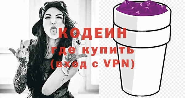 молекула духа Арсеньев