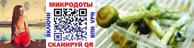 Галлюциногенные грибы Magic Shrooms  kraken зеркало  Аркадак 